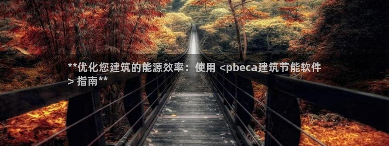 e尊国际平台：**优化您建筑的能源效率：使用 <pbeca建筑节能软件
> 指南**