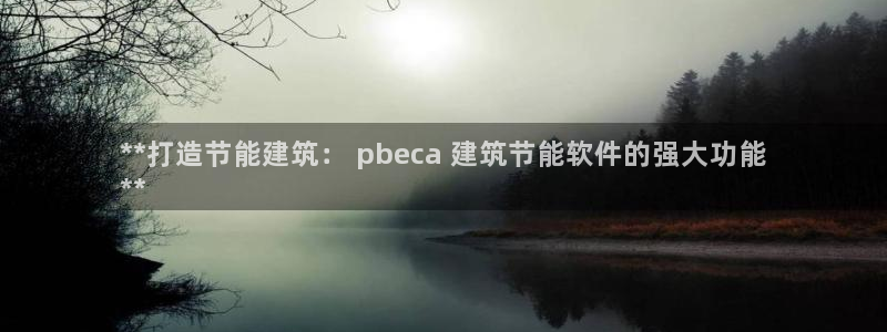 e尊平台：**打造节能建筑： pbeca 建筑节能软件的强大功能
**