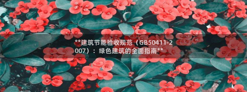 e尊国际娱乐官网下载：**建筑节能验收规范（GB50411-2
007）：绿色建筑的全面指南**