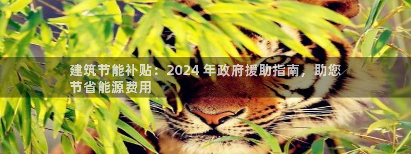 e尊国际官网：建筑节能补贴：2024 年政府援助指南，助您
节省能源费用