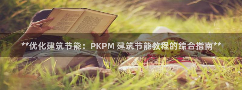 E尊国际：**优化建筑节能：PKPM 建筑节能教程的综合指南**